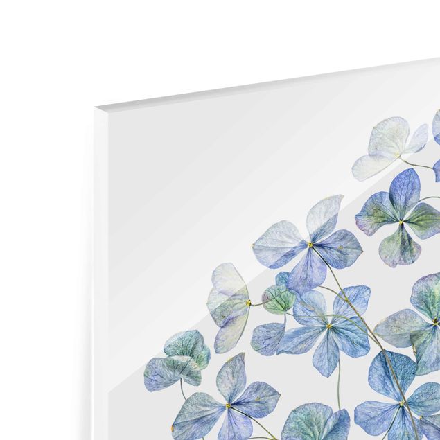 Glas magnettavla Blue Hydrangea Flowers