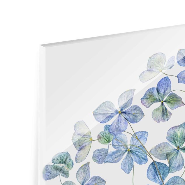 Glas magnettavla Blue Hydrangea Flowers