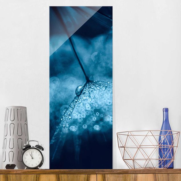 Glasbilleder mælkebøtter Blue Dandelion In The Rain