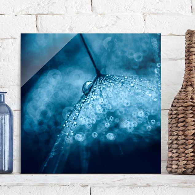 Glasbilleder mælkebøtter Blue Dandelion In The Rain