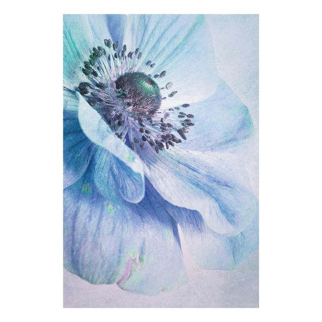 Billeder turkis Flower In Turquoise