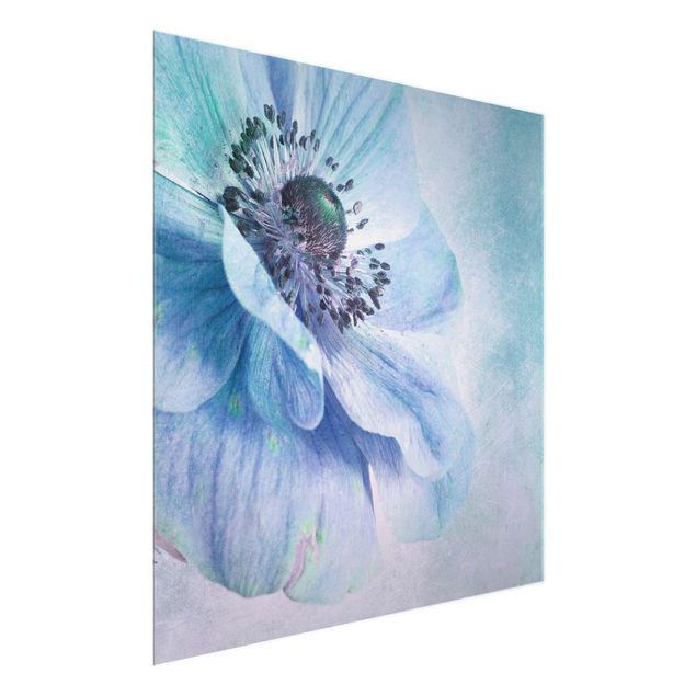 Billeder blomster Flower In Turquoise