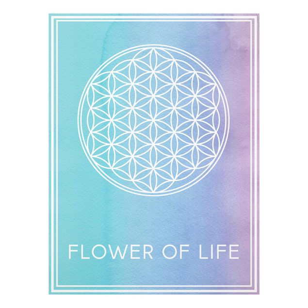 Glas magnettavla Flower of life pastel watercolour