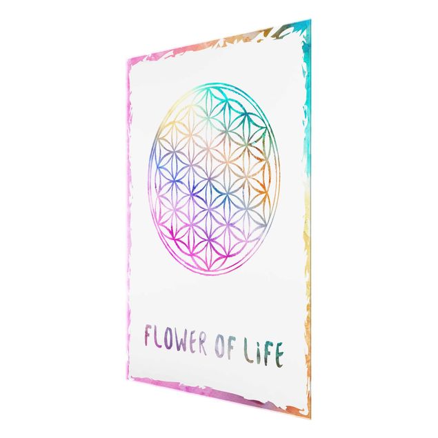 Glas magnettavla Flower of life watercolour