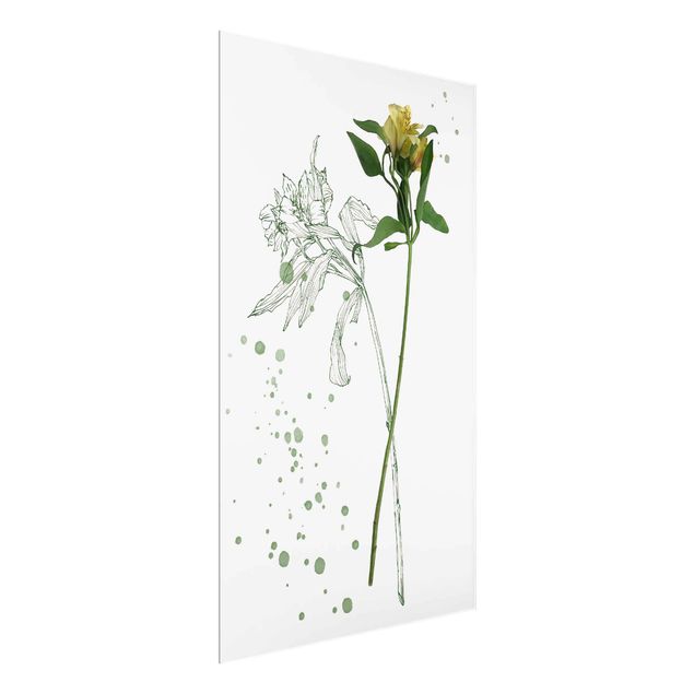 Billeder blomster Botanical Watercolour - Lily