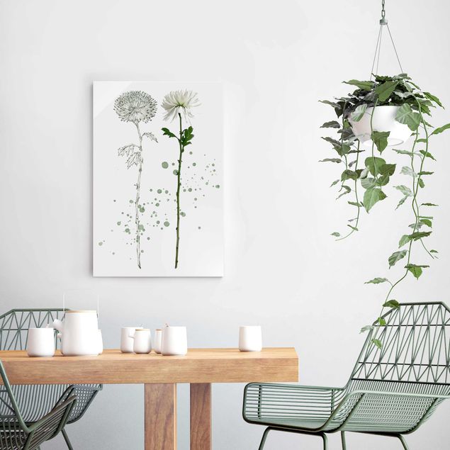 Glasbilleder blomster Botanical Watercolour - Dandelion