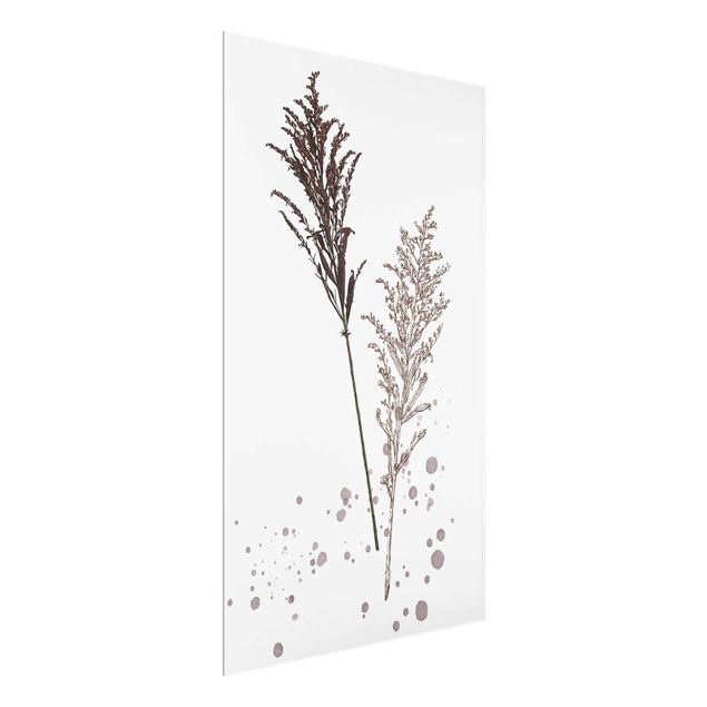 Billeder blomster Botanical Watercolour - Fescue Reed