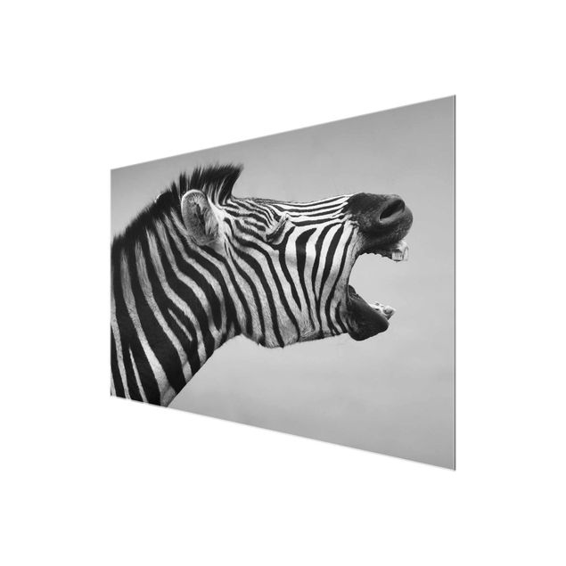 Billeder sort og hvid Roaring Zebra ll