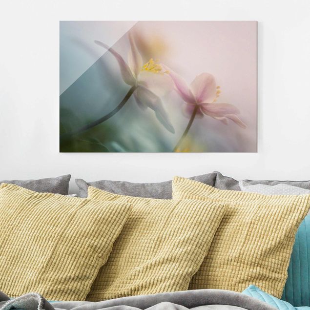 Glasbilleder blomster Wood anemone
