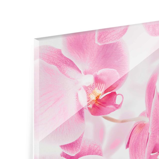 Billeder Delicate Orchids