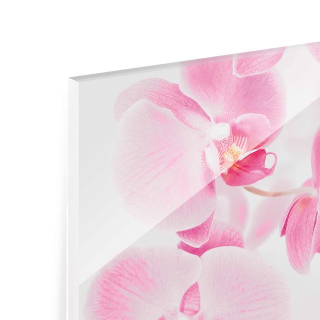 Billeder Delicate Orchids