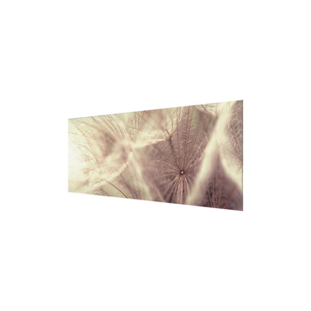Billeder Detailed Dandelion Macro Shot With Vintage Blur Effect