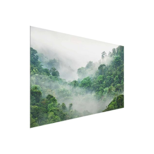 Billeder landskaber Jungle In The Fog