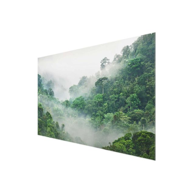 Glasbilleder blomster Jungle In The Fog