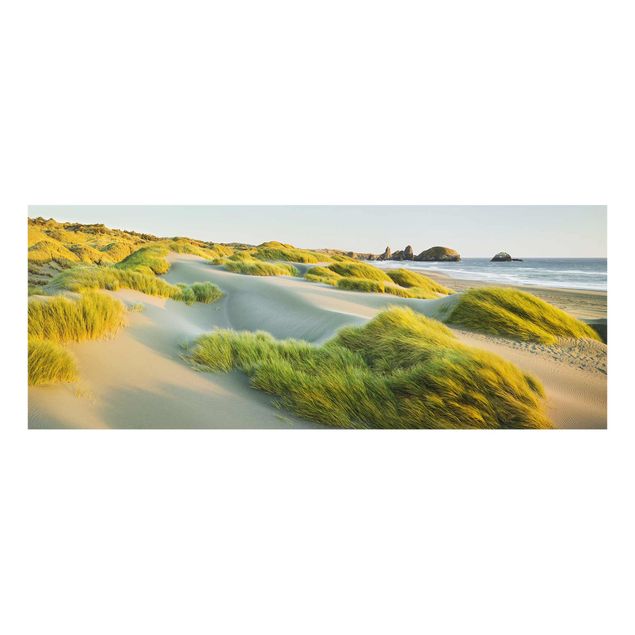 Billeder strande Dunes And Grasses At The Sea
