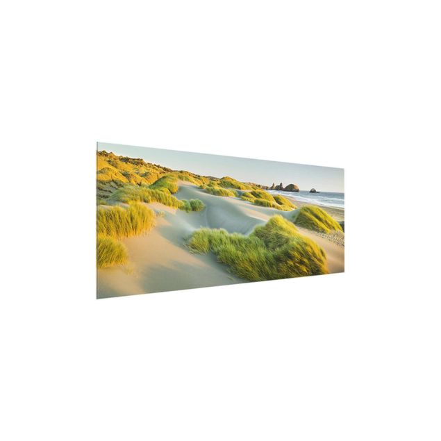 Billeder hav Dunes And Grasses At The Sea