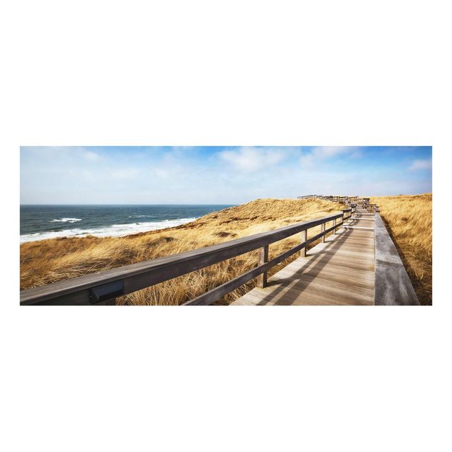 Billeder strande Path between dunes at the North Sea on Sylt