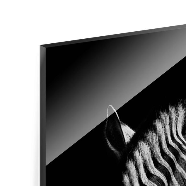 Billeder Dark Zebra Silhouette