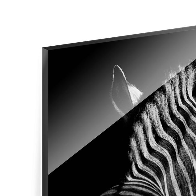 Billeder Dark Zebra Silhouette