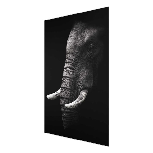 Glasbilleder dyr Dark Elephant Portrait