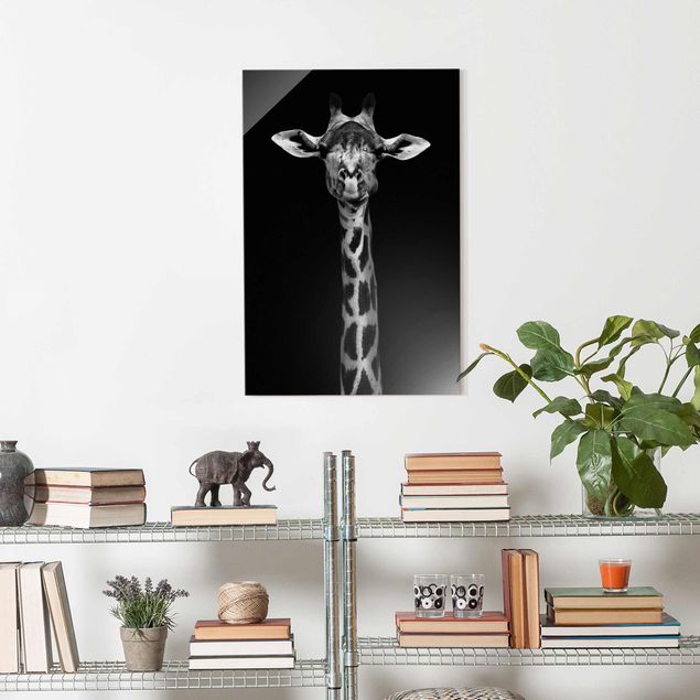 Billeder giraffer Dark Giraffe Portrait