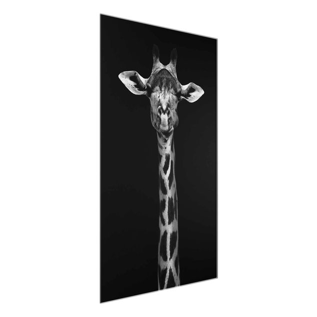 Glasbilleder dyr Dark Giraffe Portrait