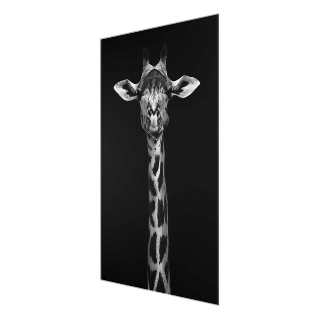 Billeder sort og hvid Dark Giraffe Portrait