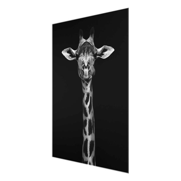Billeder sort og hvid Dark Giraffe Portrait