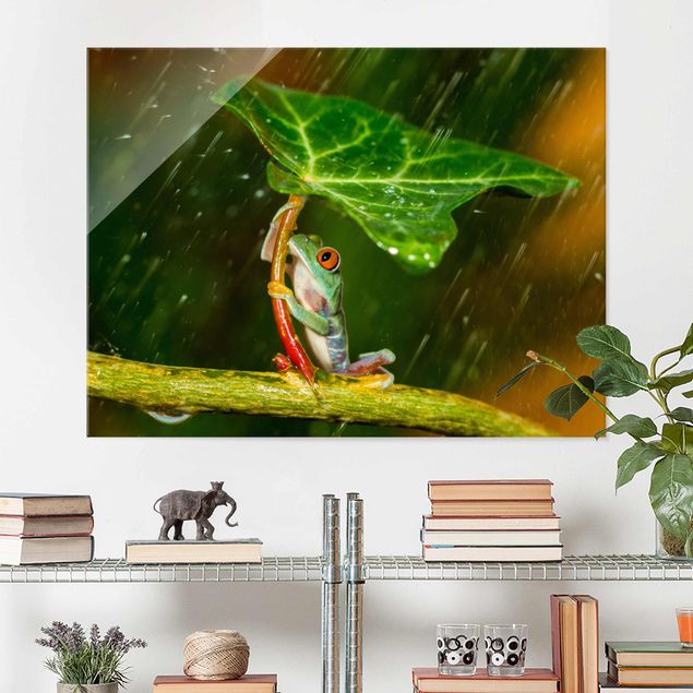 køkken dekorationer Frog In The Rain