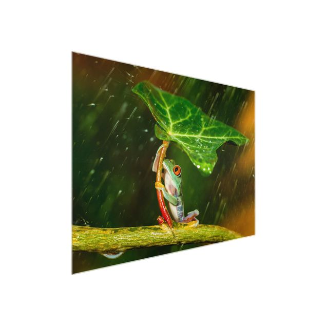Billeder blomster Frog In The Rain
