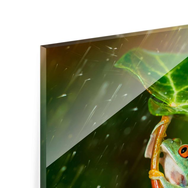 Glas magnettavla Frog In The Rain