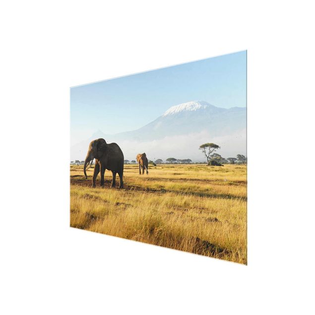 Billeder landskaber Elephants In Front Of The Kilimanjaro In Kenya