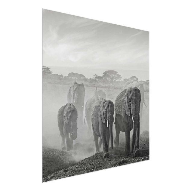 Billeder landskaber Herd Of Elephants
