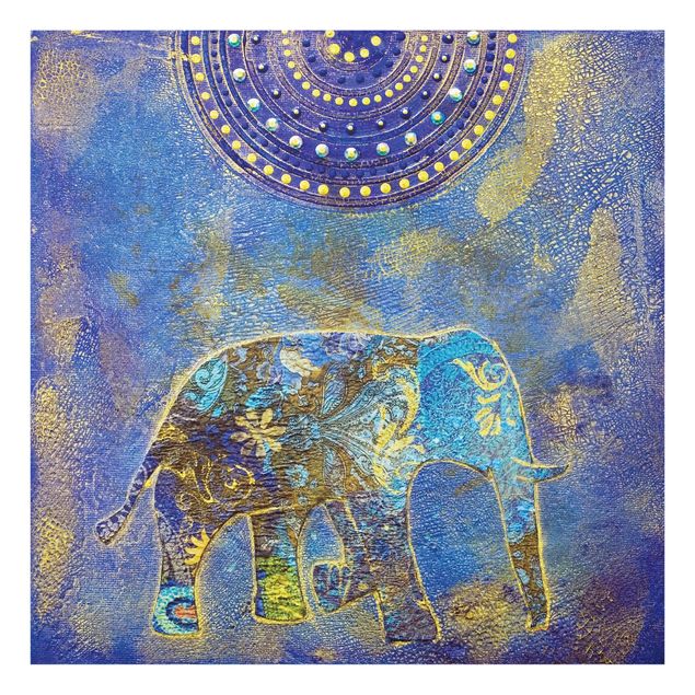 Billeder blå Elephant In Marrakech