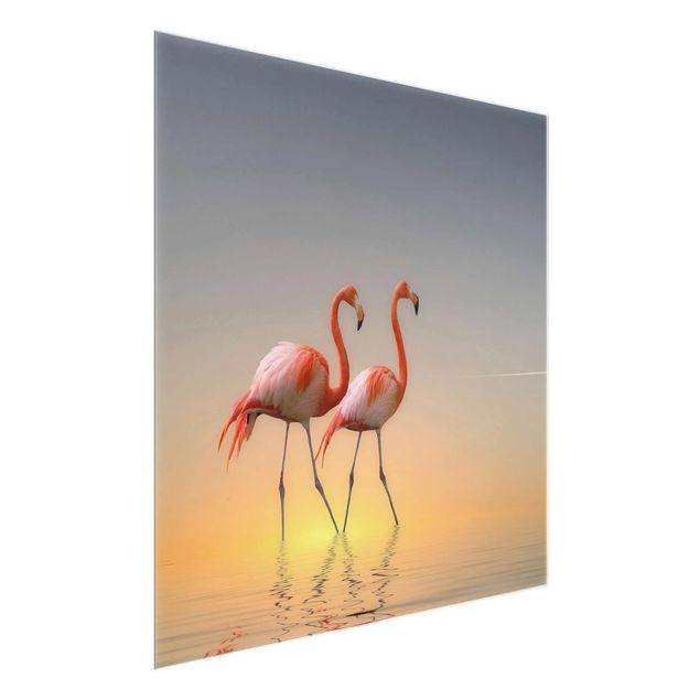 Billeder strande Flamingo Love