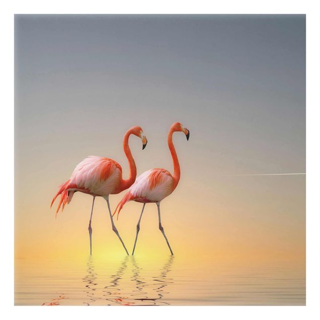 Billeder hav Flamingo Love