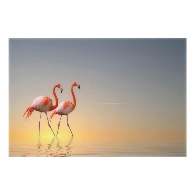 Billeder hav Flamingo Love