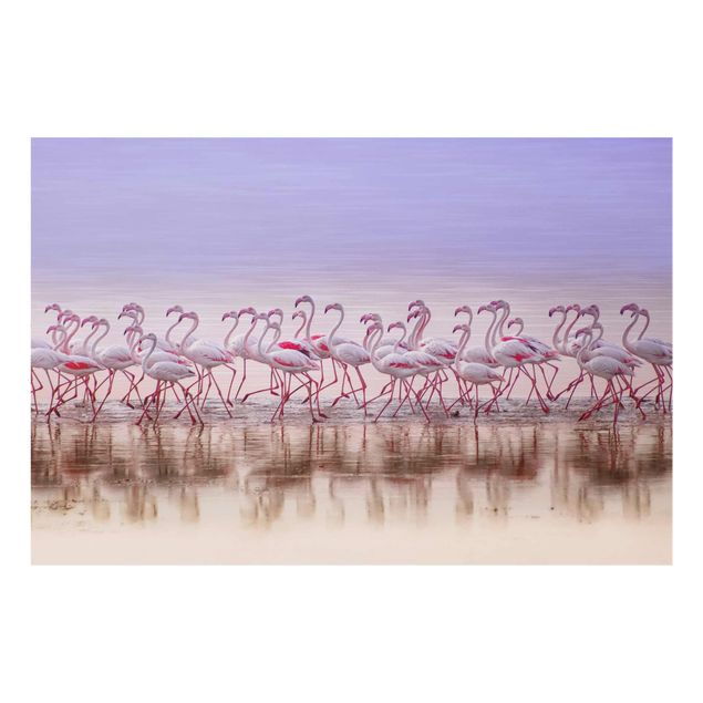 Billeder lyserød Flamingo Party