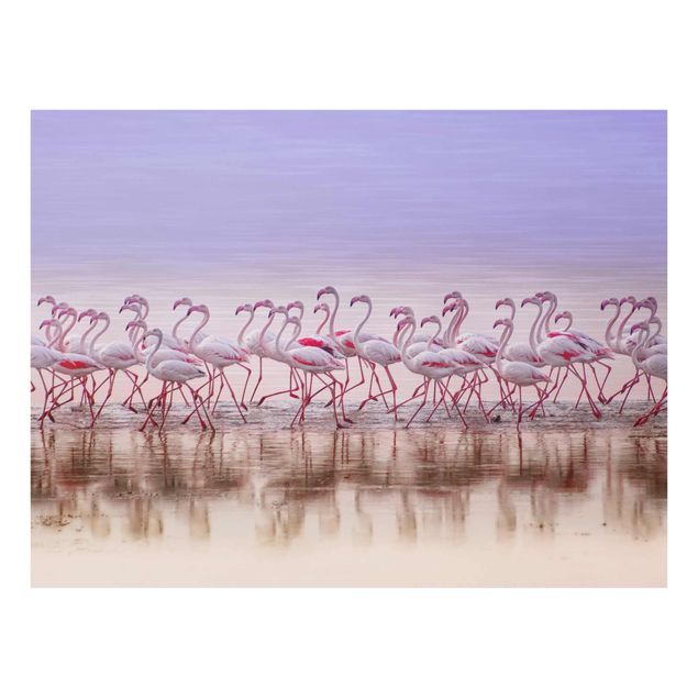 Billeder lyserød Flamingo Party