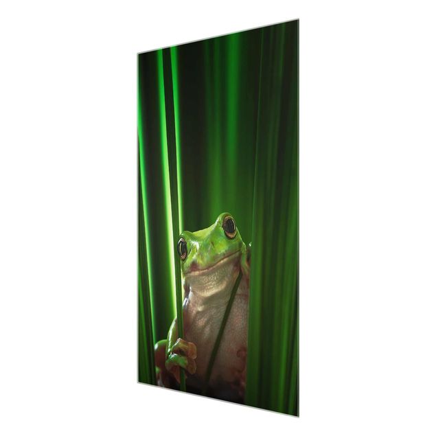 Glas magnettavla Merry Frog