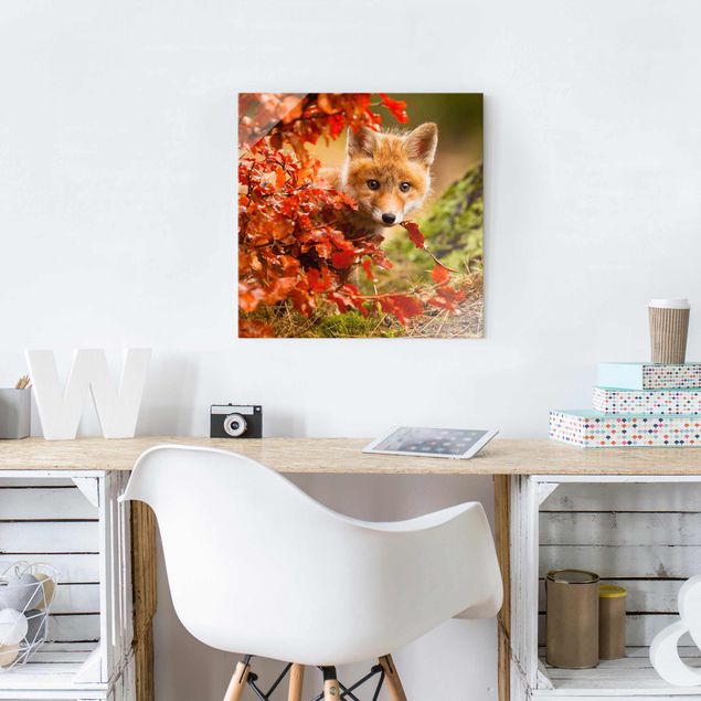 Glasbilleder landskaber Fox In Autumn