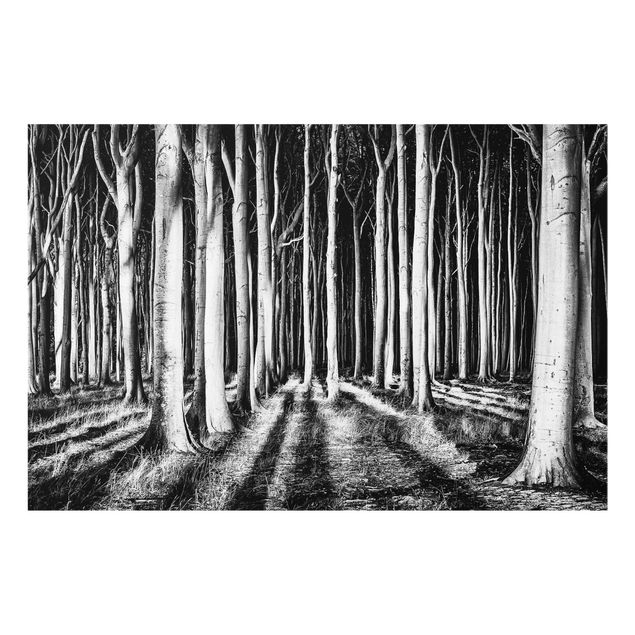 Glasbilleder sort og hvid Spooky Forest