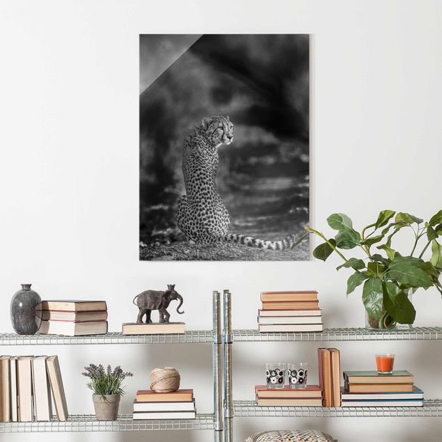 Glasbilleder sort og hvid Cheetah In The Wildness