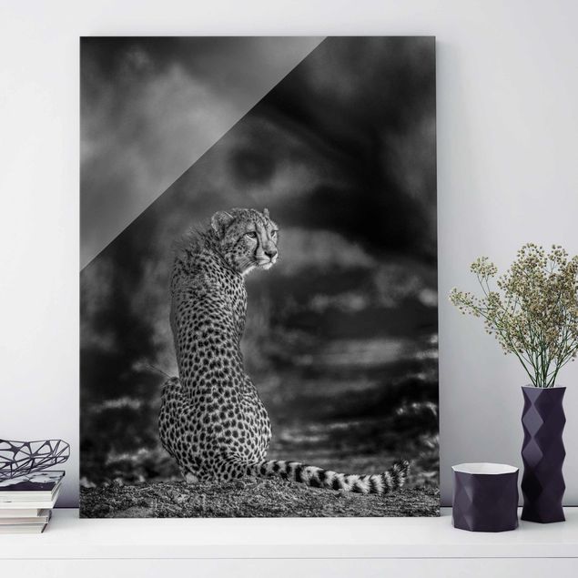 køkken dekorationer Cheetah In The Wildness