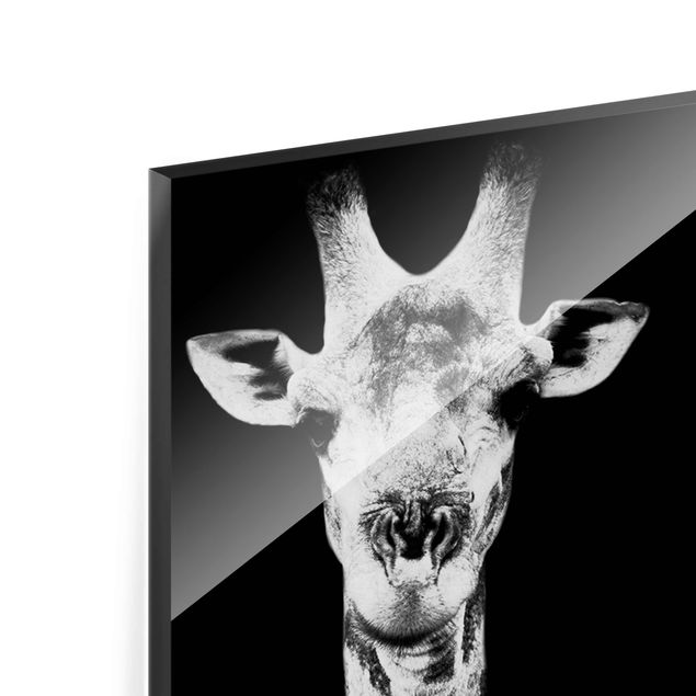 Glas magnettavla Giraffe Duo black & white
