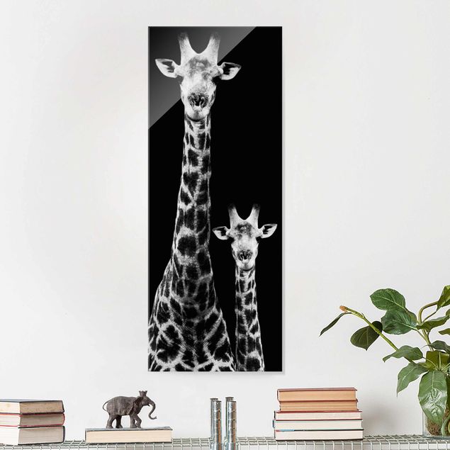 Billeder giraffer Giraffe Duo black & white