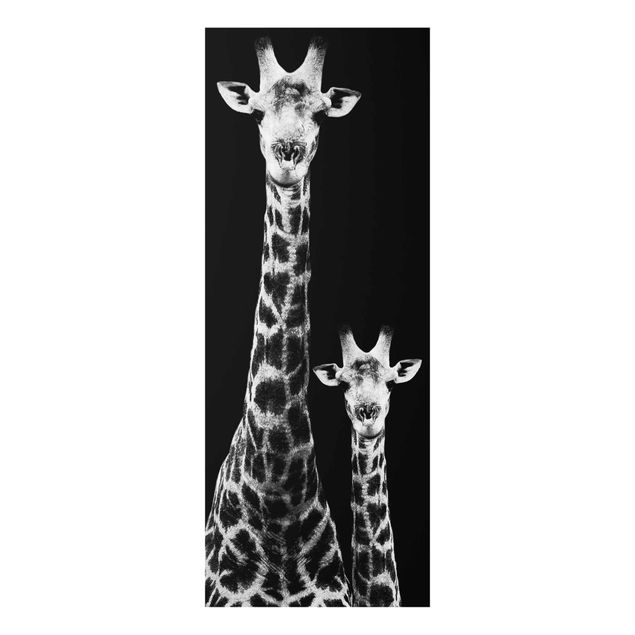 Billeder Afrika Giraffe Duo black & white
