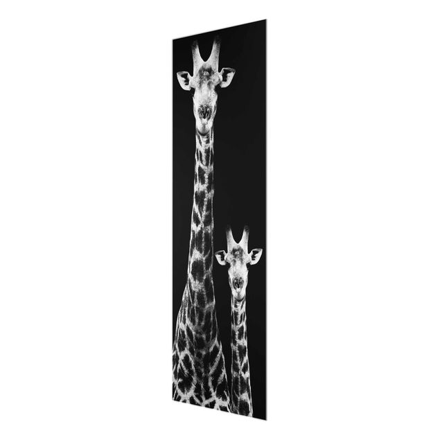 Billeder sort og hvid Giraffe Duo black & white
