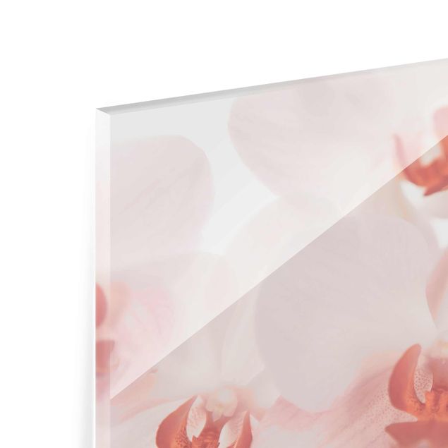 Glas magnettavla Bright Orchid Flower Wallpaper - Svelte Orchids