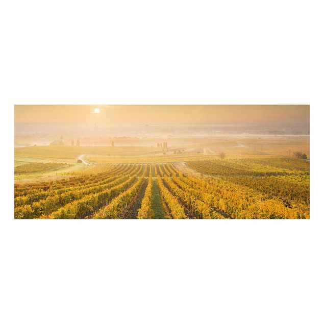 Billeder landskaber Autumnal Vineyards Near Vienna